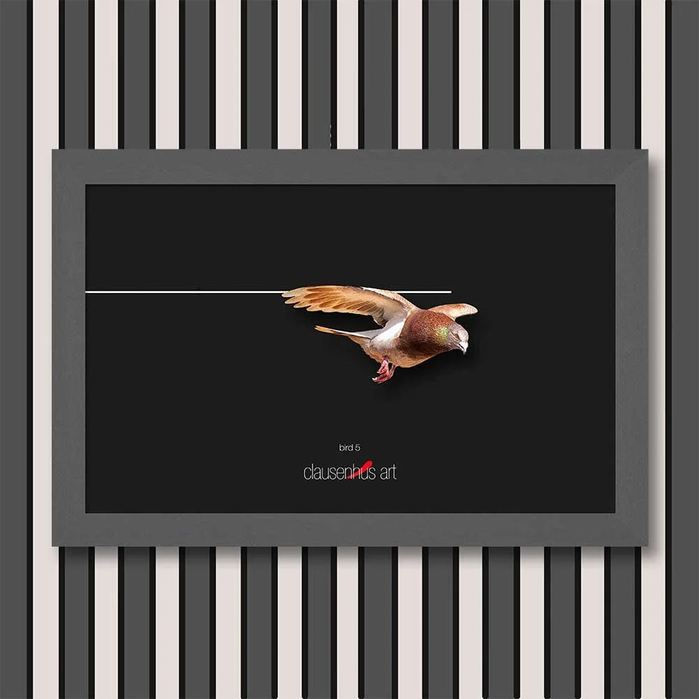 bird-5-copy.jpg