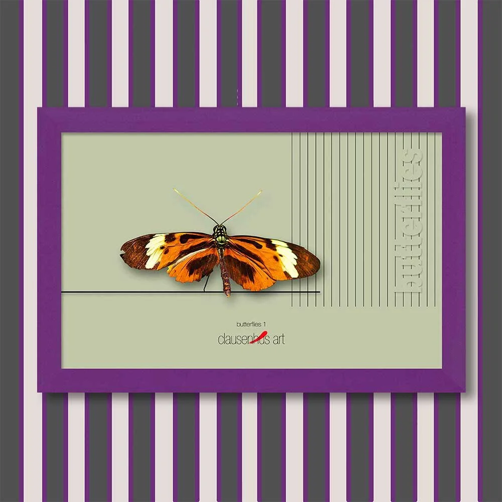 butterflies-1-copy.jpg