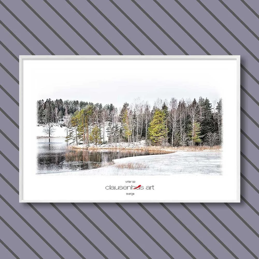 vinter-sø-copy.jpg