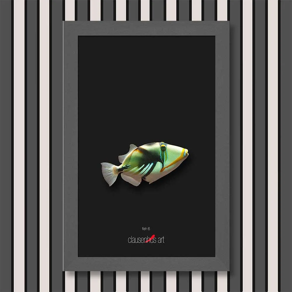 fish-6-copy.jpg