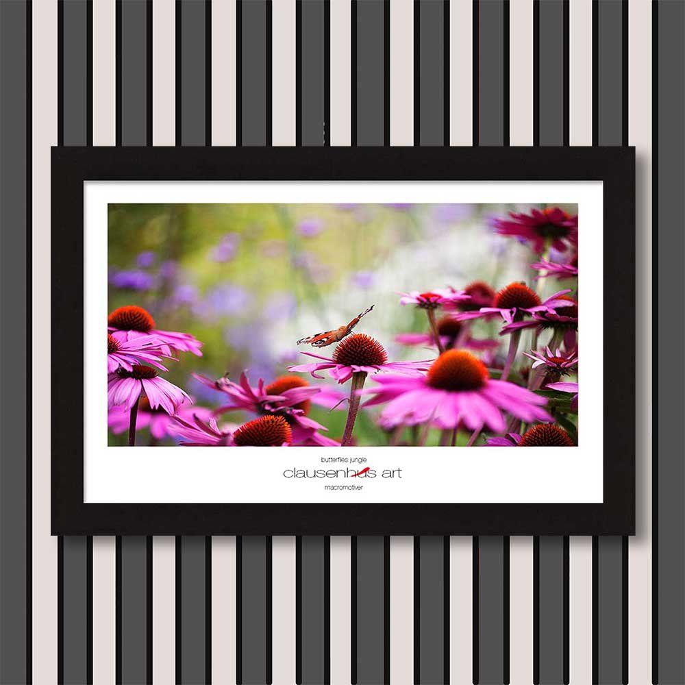 butterflies-jungle-copy.jpg