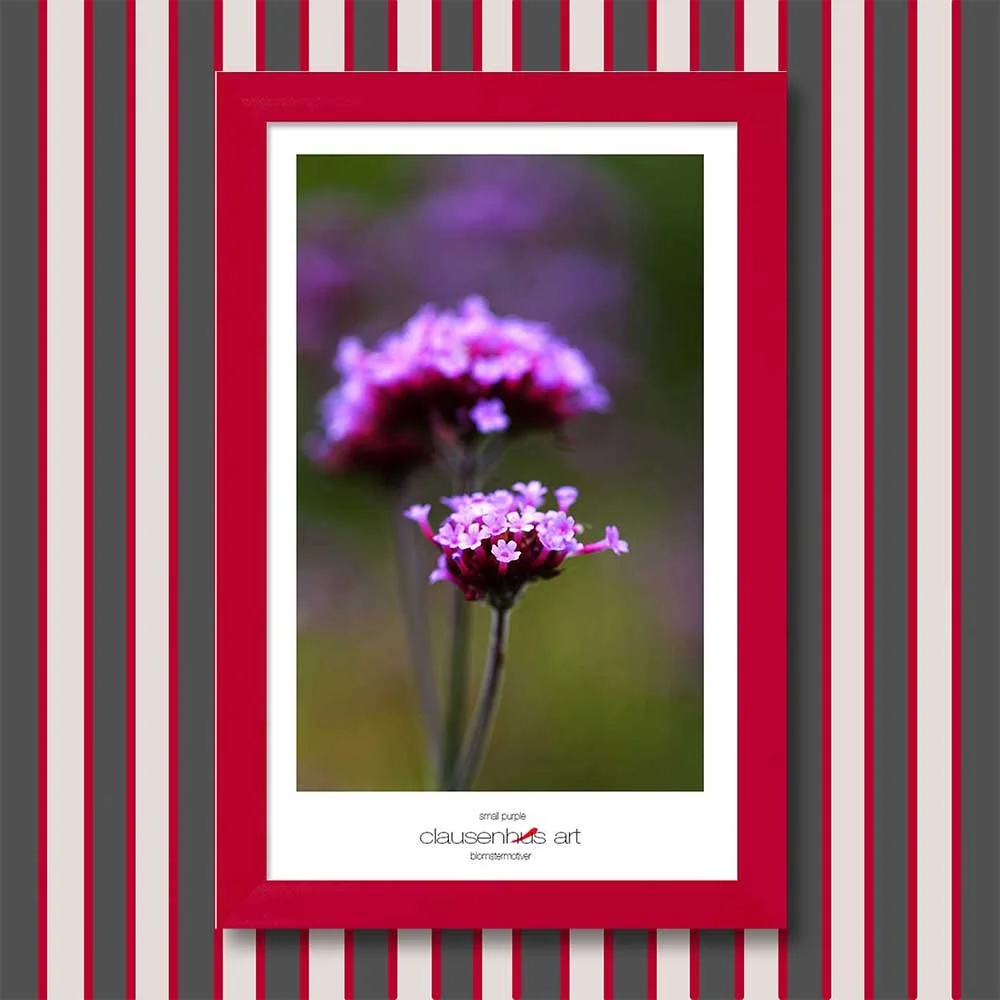 small-purple-copy.jpg