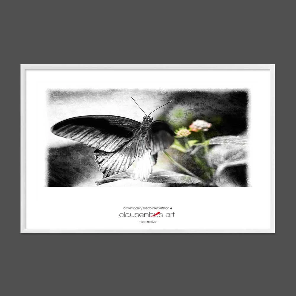 contemporary-macro-interpretation-4-copy.jpg