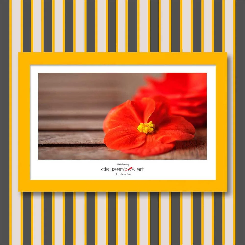 fallen-beauty-copy.jpg