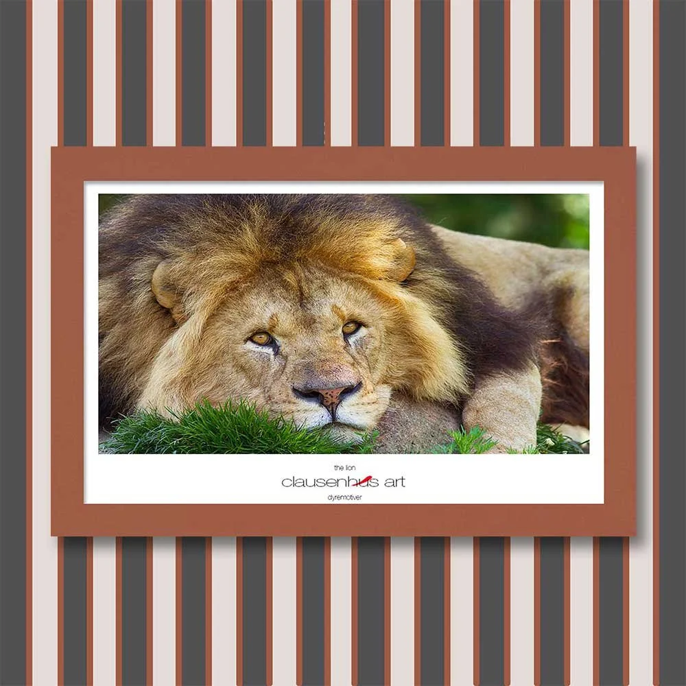 the-lion.jpg