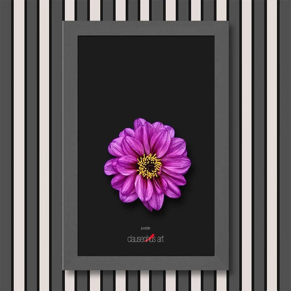 purple-copy.jpg