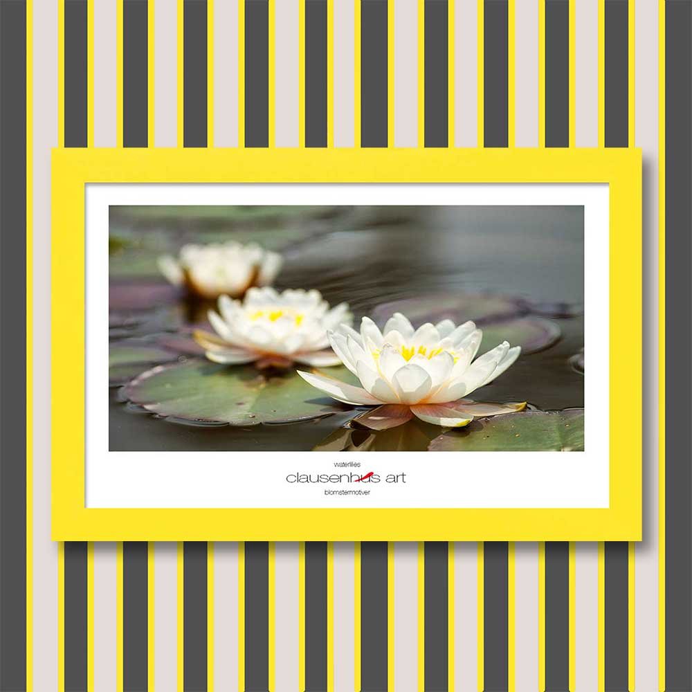 waterlilies-copy.jpg