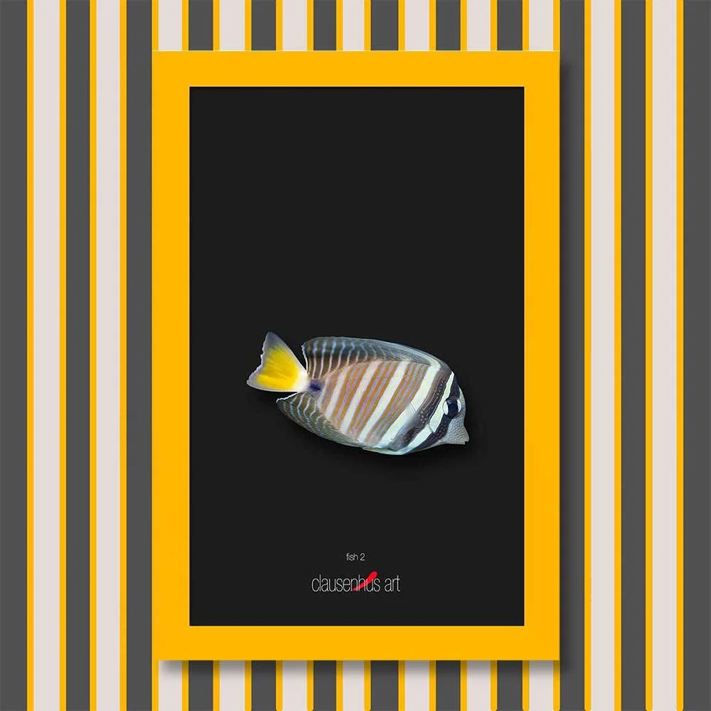 fish-2-copy.jpg