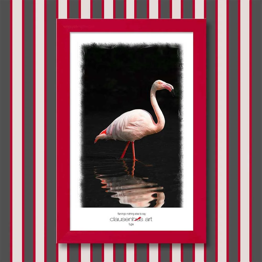 flamingo-nothing-else-to-say.jpg