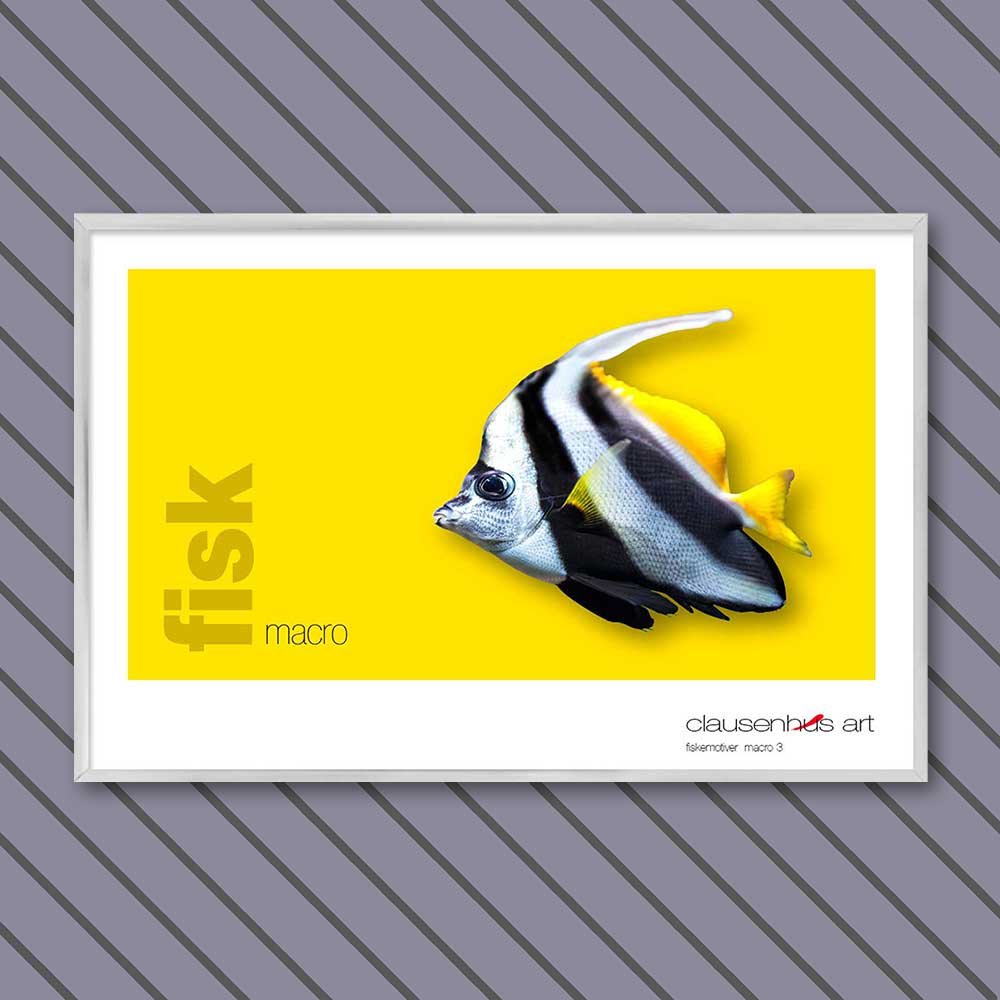 fiskemotiv-3-copy.jpg