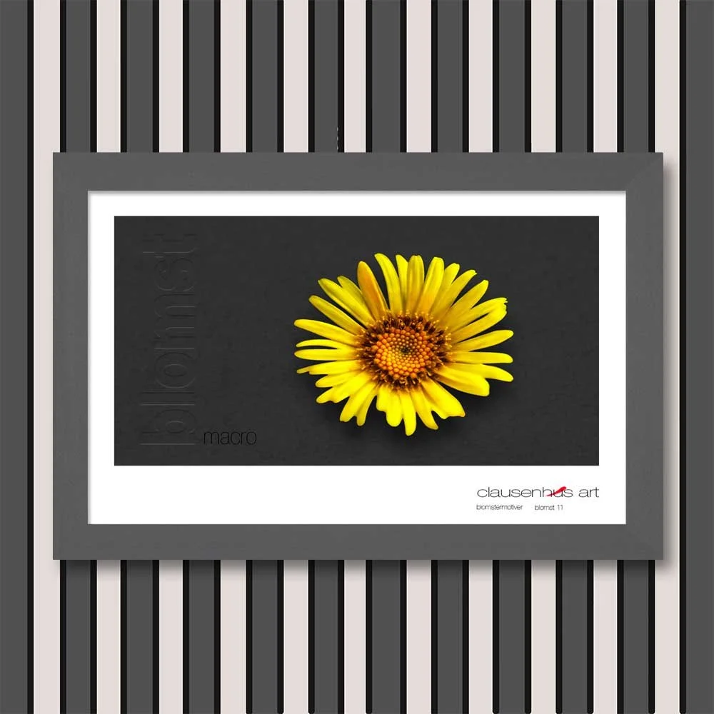 blomst-11.jpg