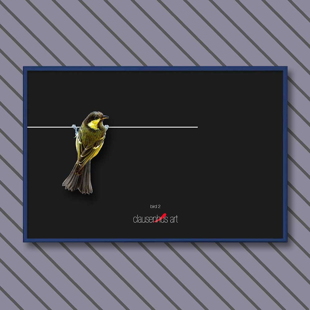 bird-2-copy.jpg