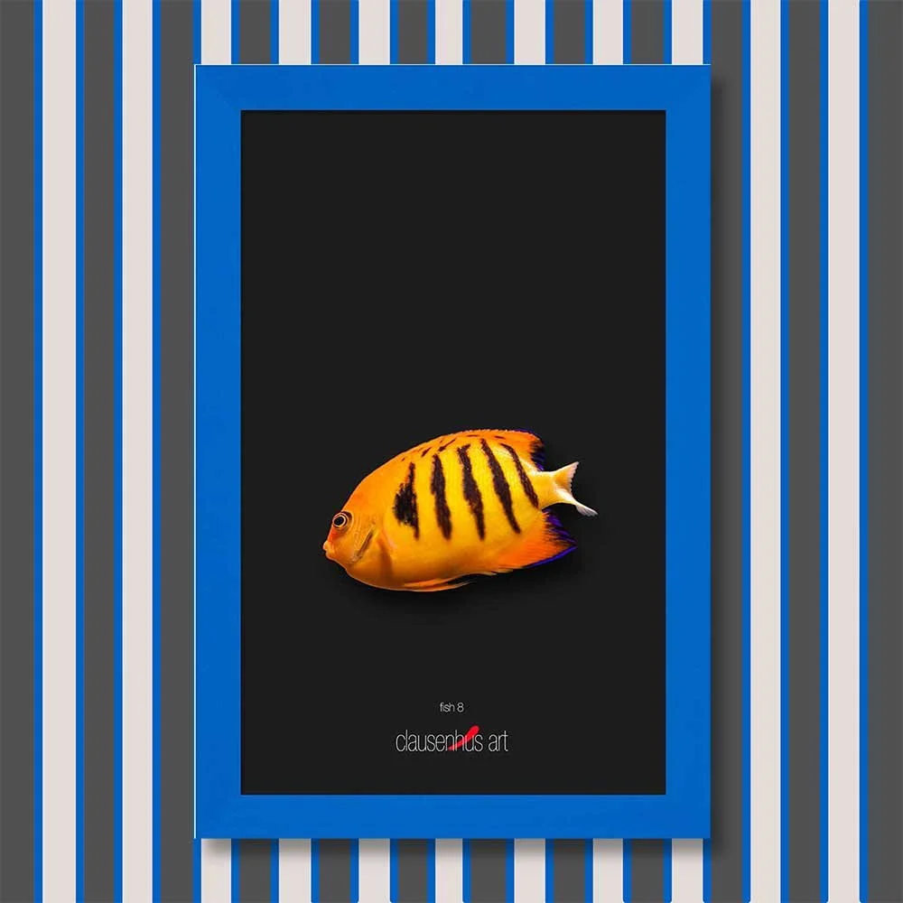 fish-8-copy.jpg