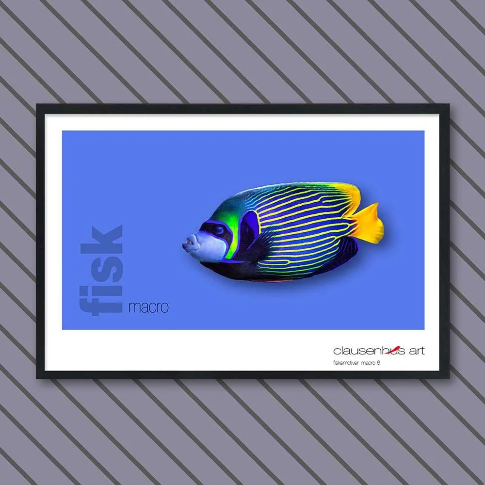 fiskemotiv-6-copy.jpg