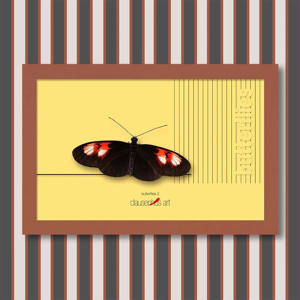 butterflies-2-copy.jpg