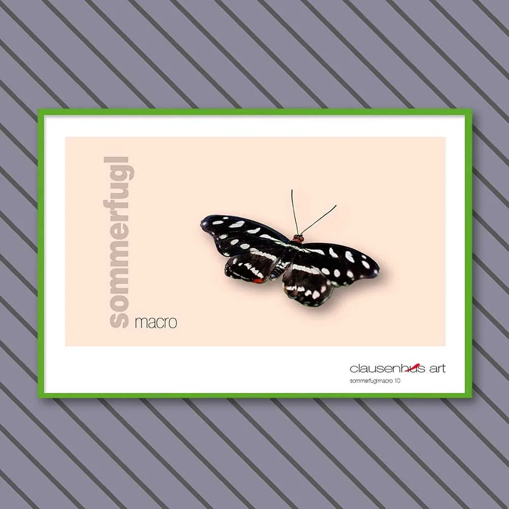 sommerfugl-10-copy.jpg