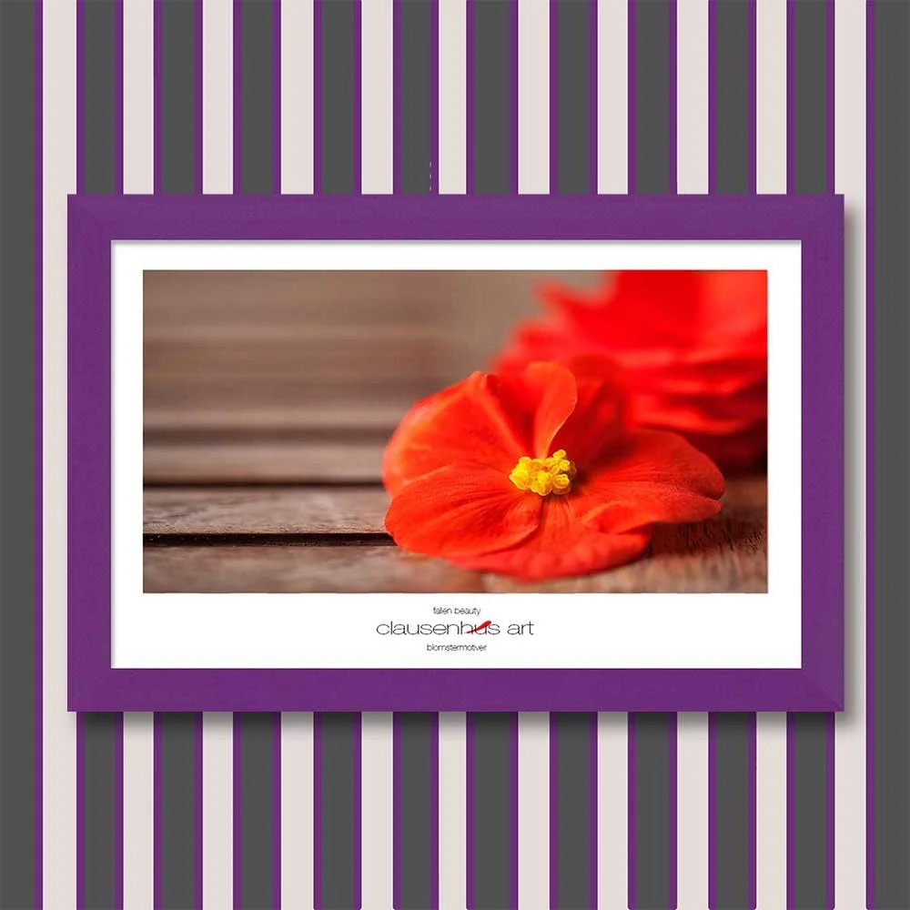 fallen-beauty-copy.jpg