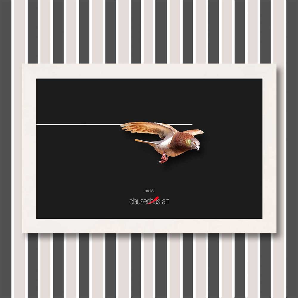 bird-5-copy.jpg
