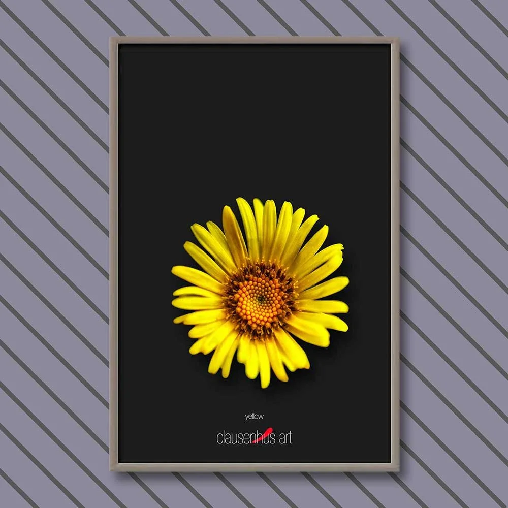 yellow.jpg