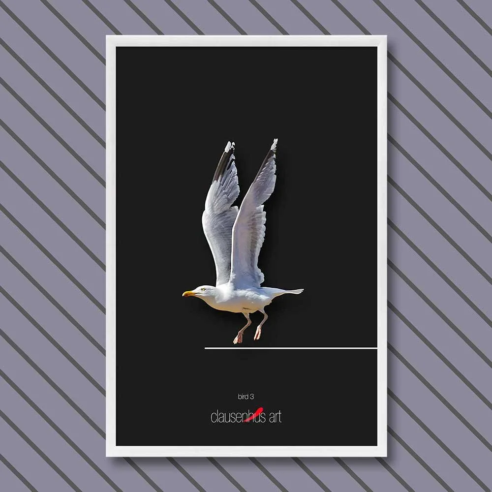bird-3-copy.jpg