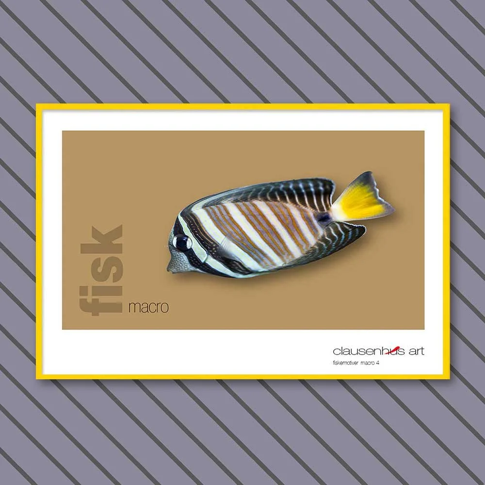 fiskemotiv-4-copy.jpg