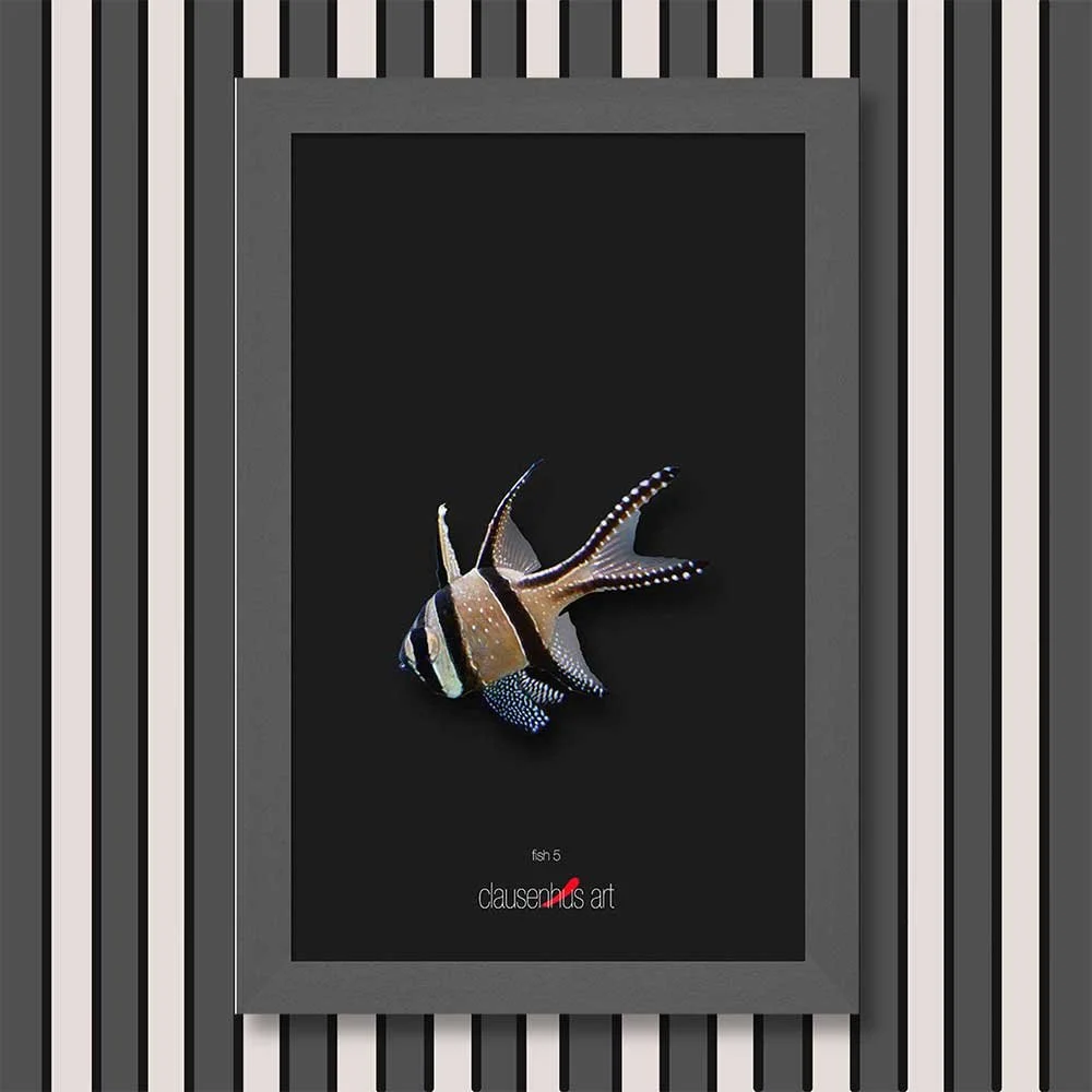 fish-5-copy.jpg