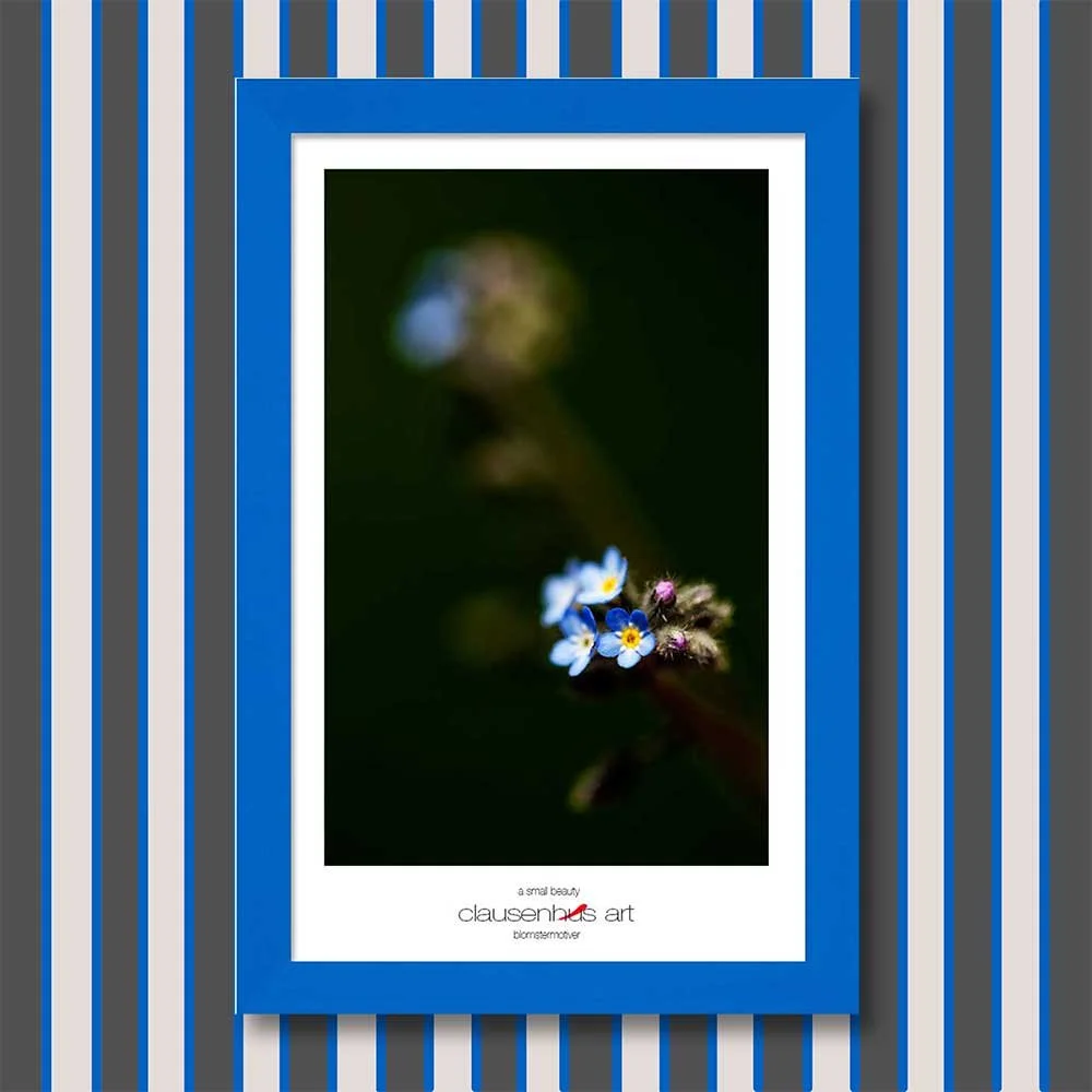 a-small-beauty-copy.jpg