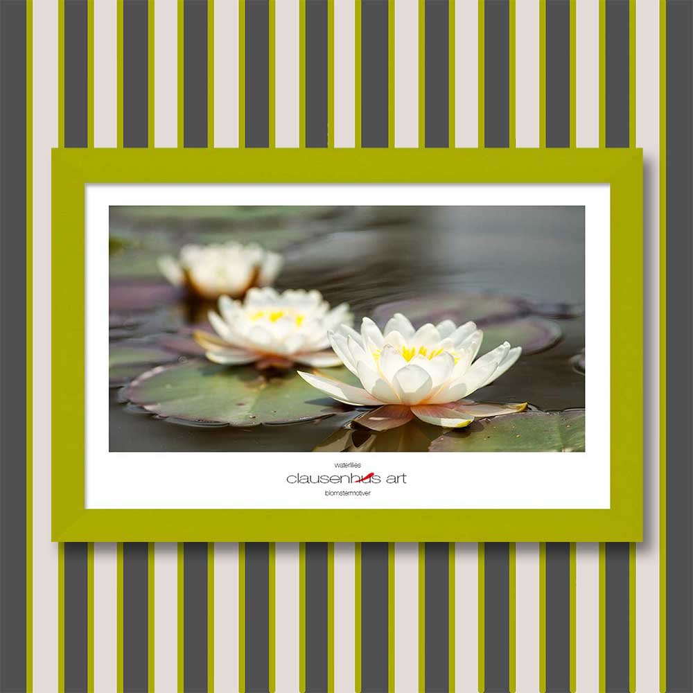 waterlilies-copy.jpg