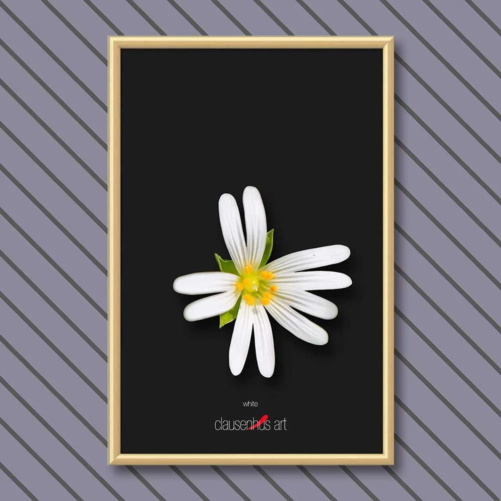 white-copy.jpg