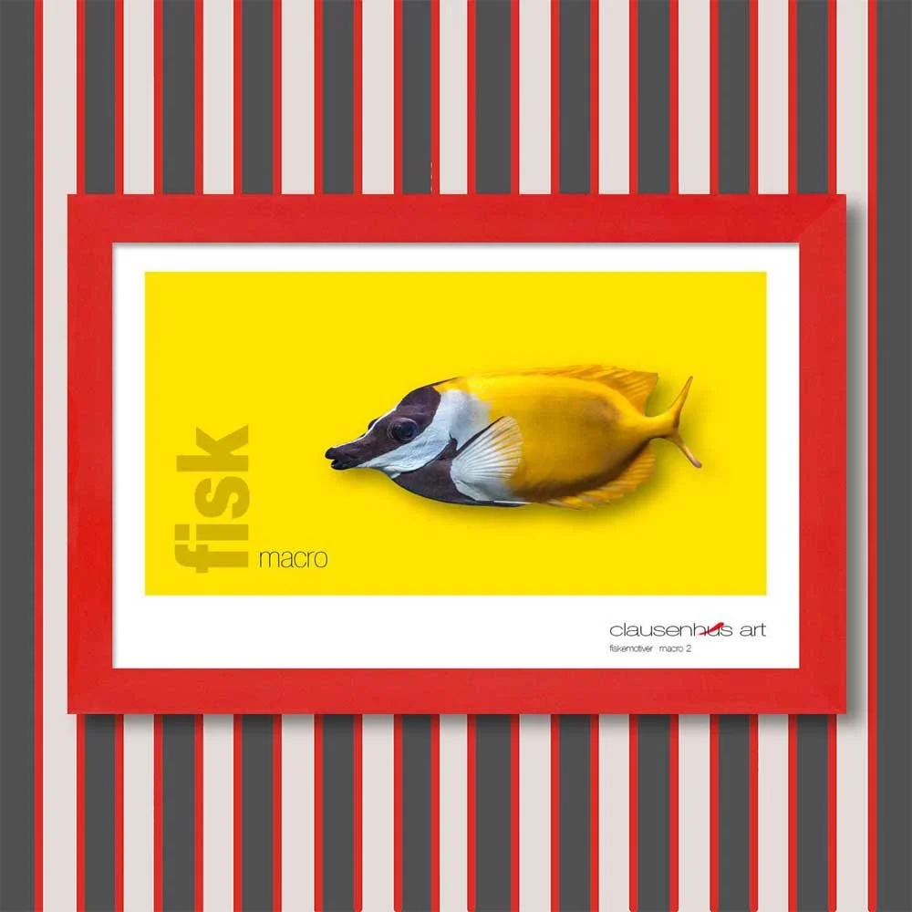 fiskemotiv-2-copy.jpg