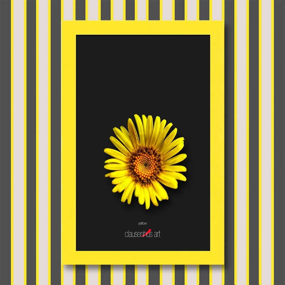 yellow-copy.jpg