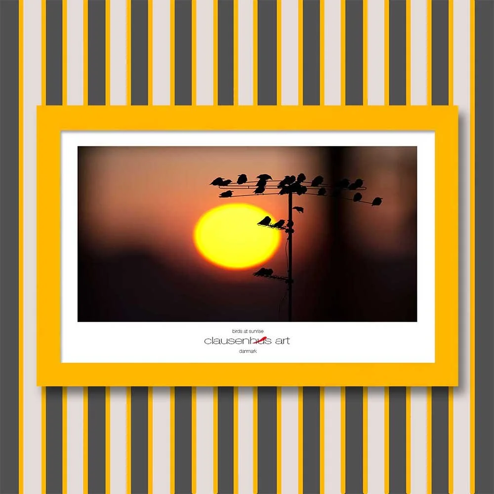 birds-at-sunrise-copy.jpg