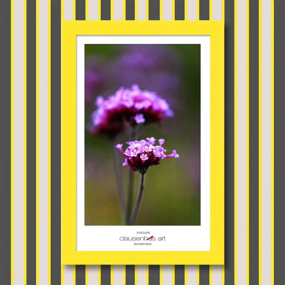 small-purple-copy.jpg