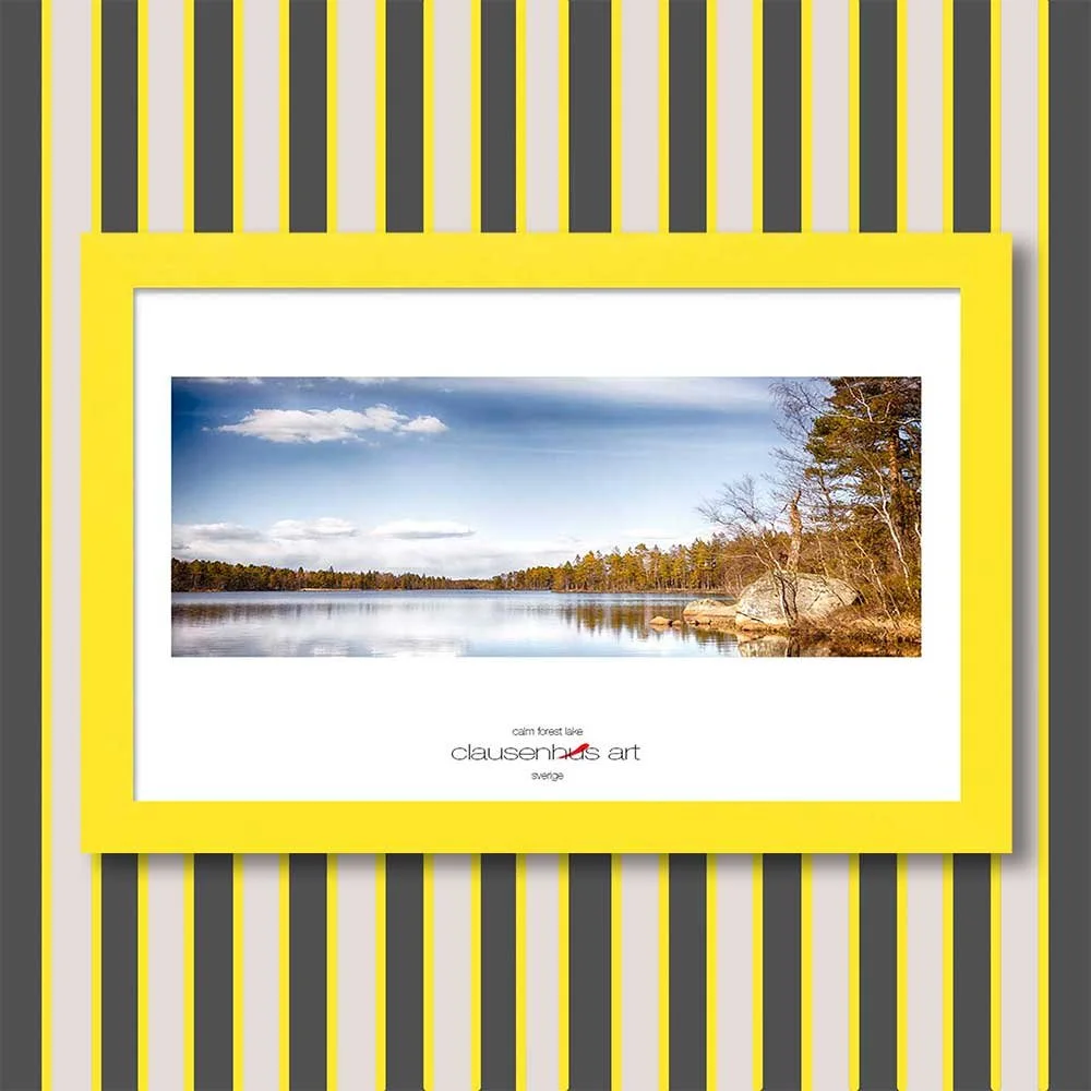 calm-forest-lake-copy.jpg