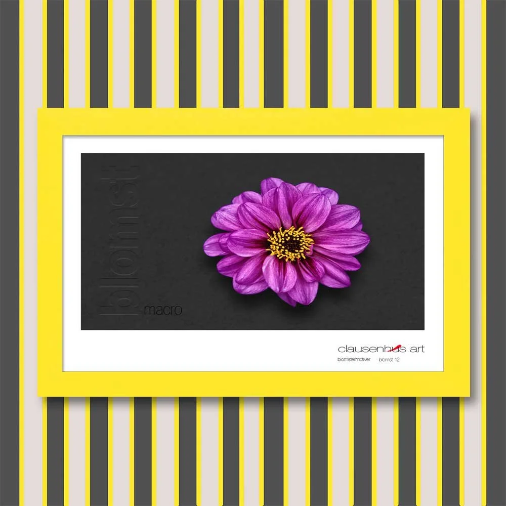 blomst-12.jpg