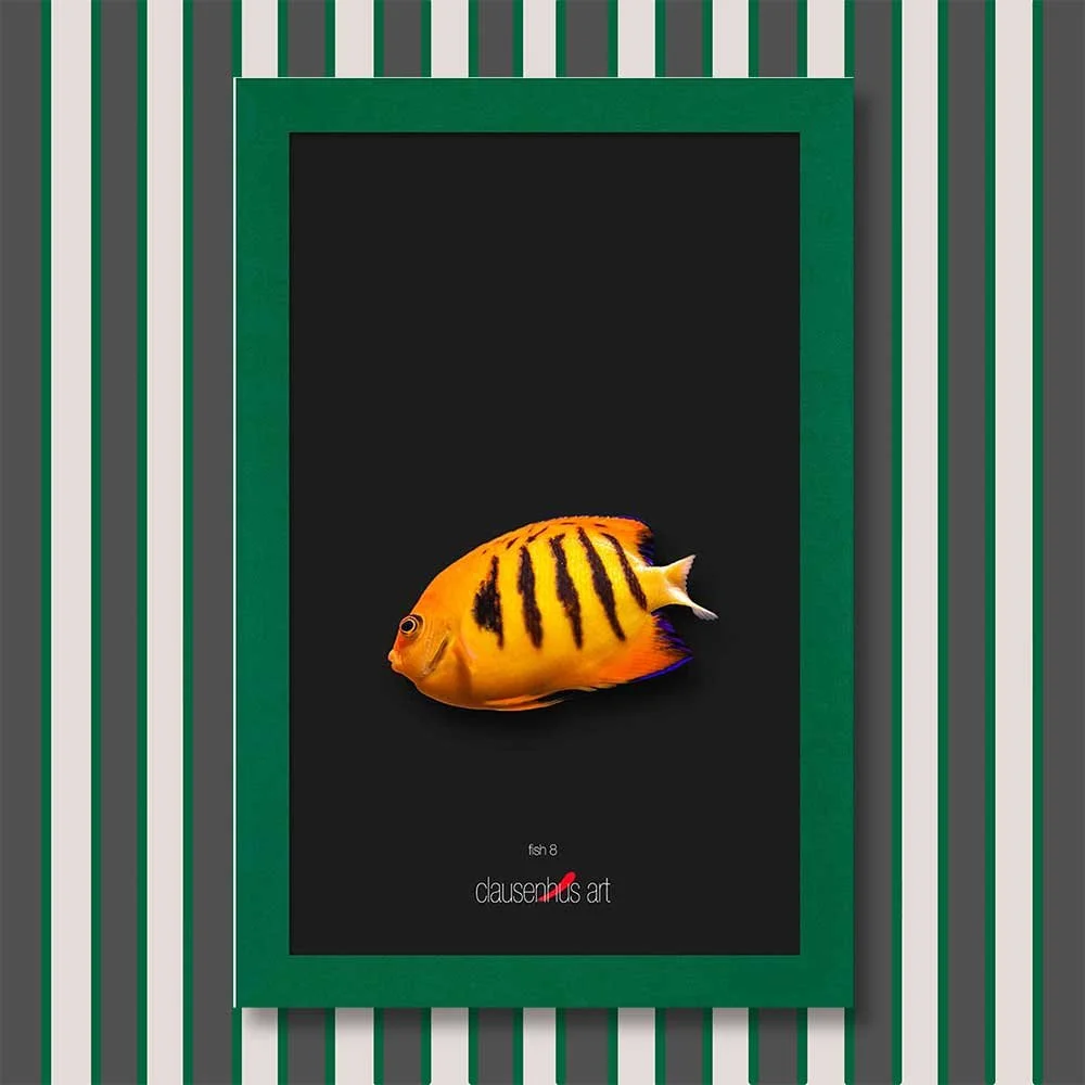 fish-8-copy.jpg