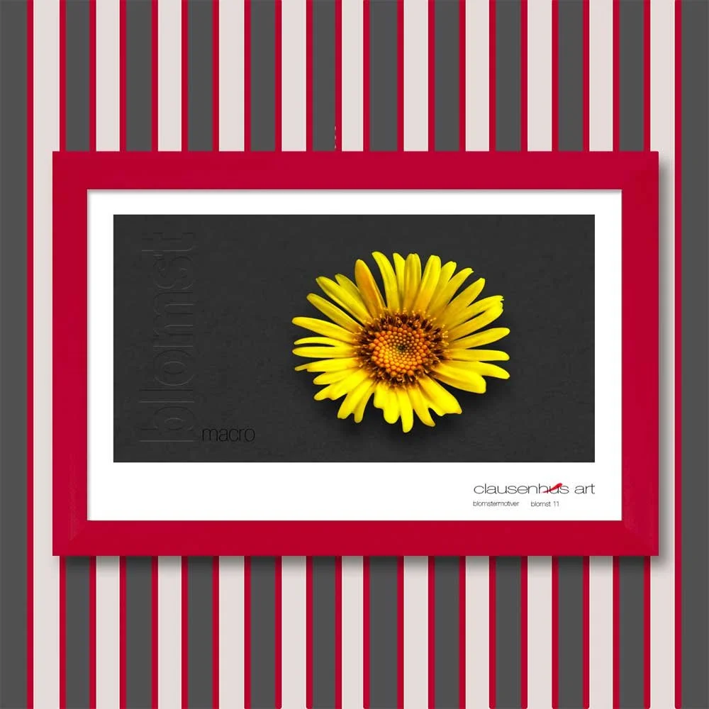 blomst-11.jpg