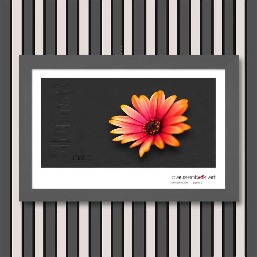 blomst-9.jpg