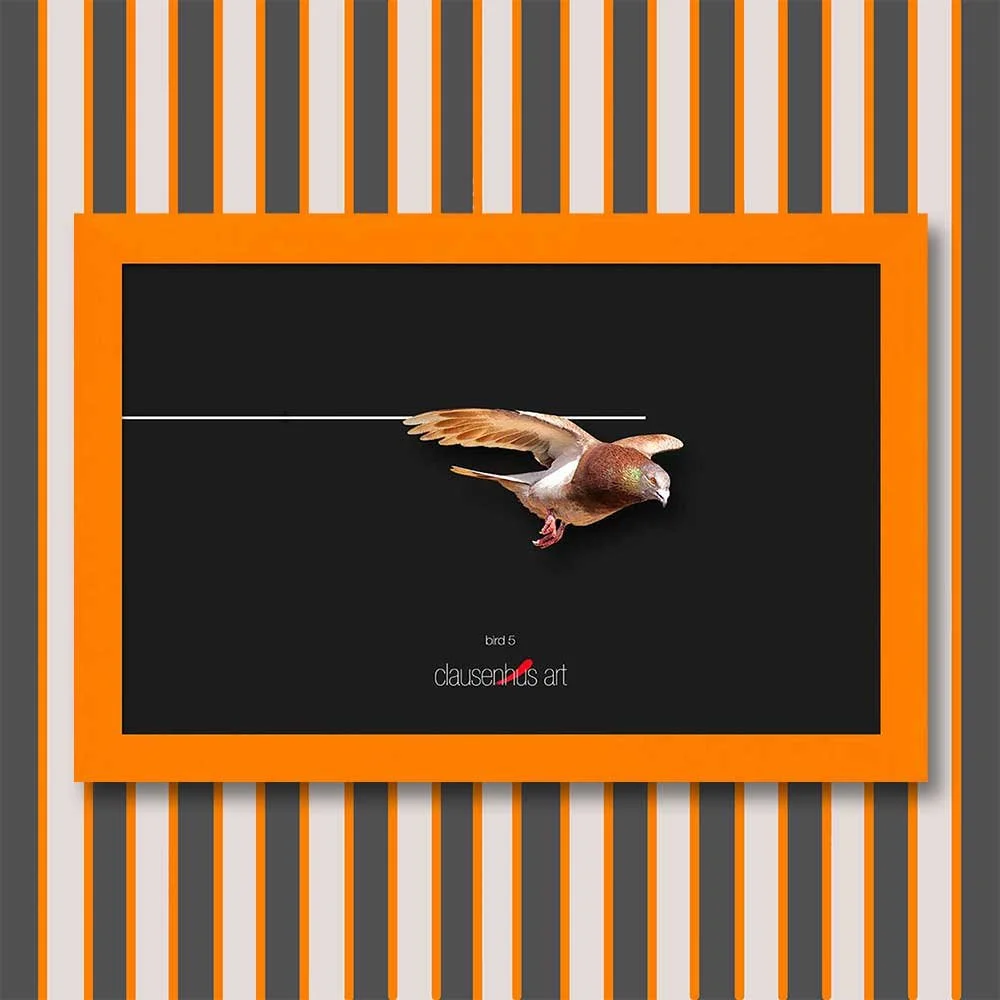 bird-5-copy.jpg