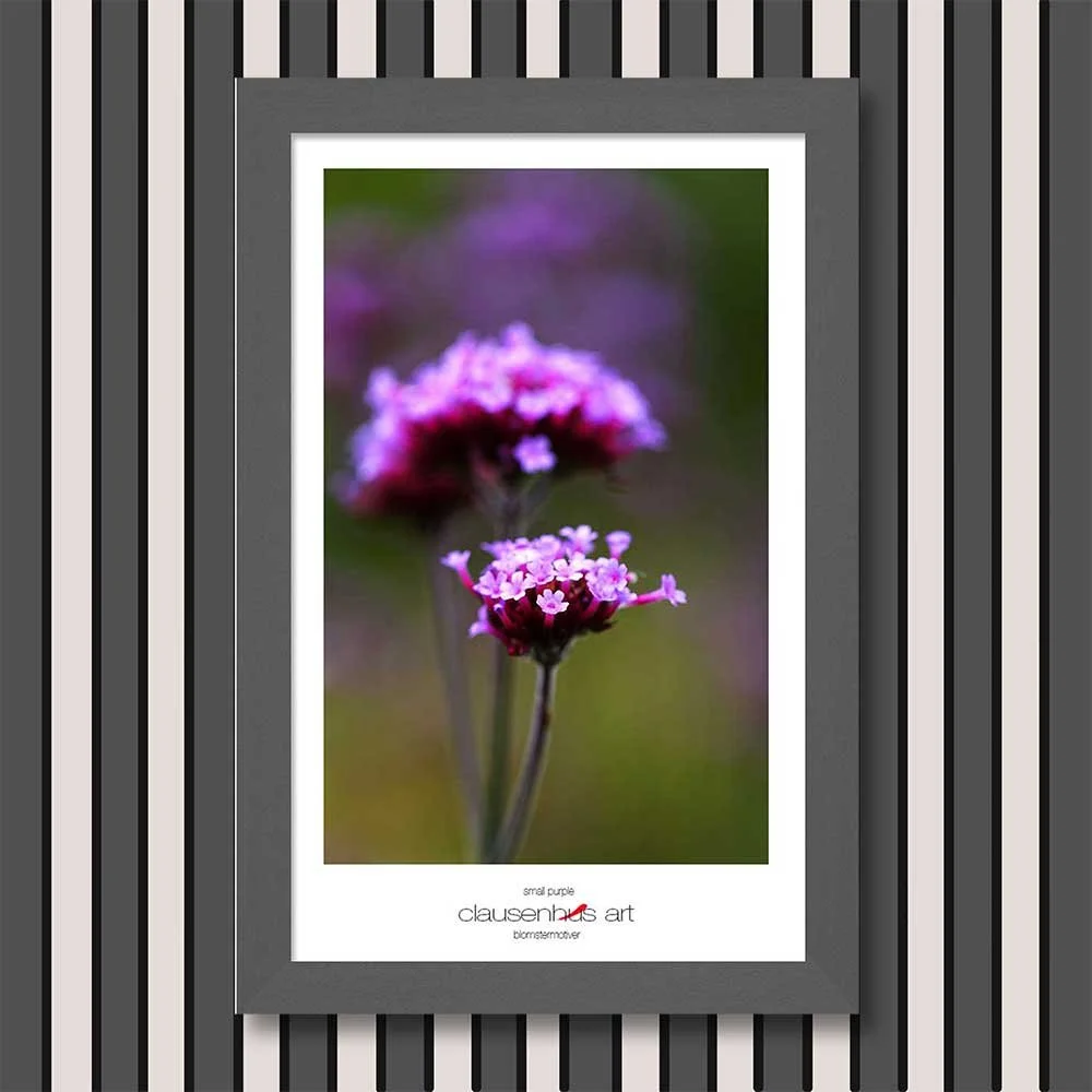 small-purple-copy.jpg
