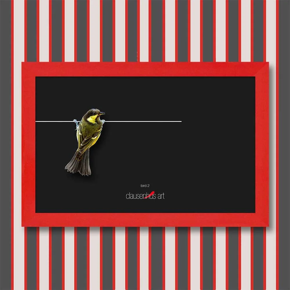 bird-2-copy.jpg