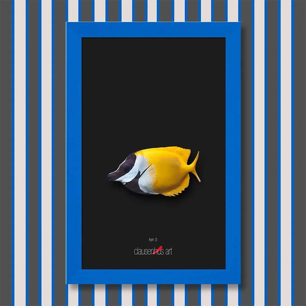 fish-3-copy.jpg