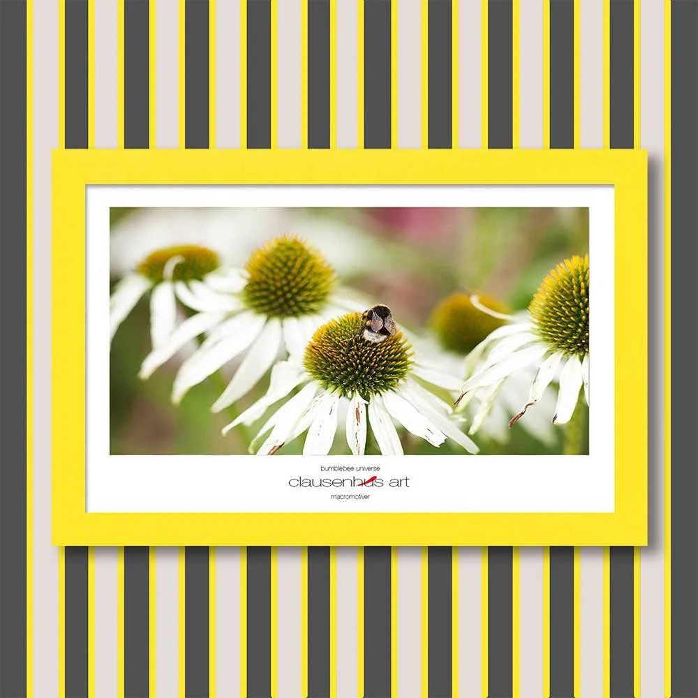 bumblebee-universe-copy.jpg