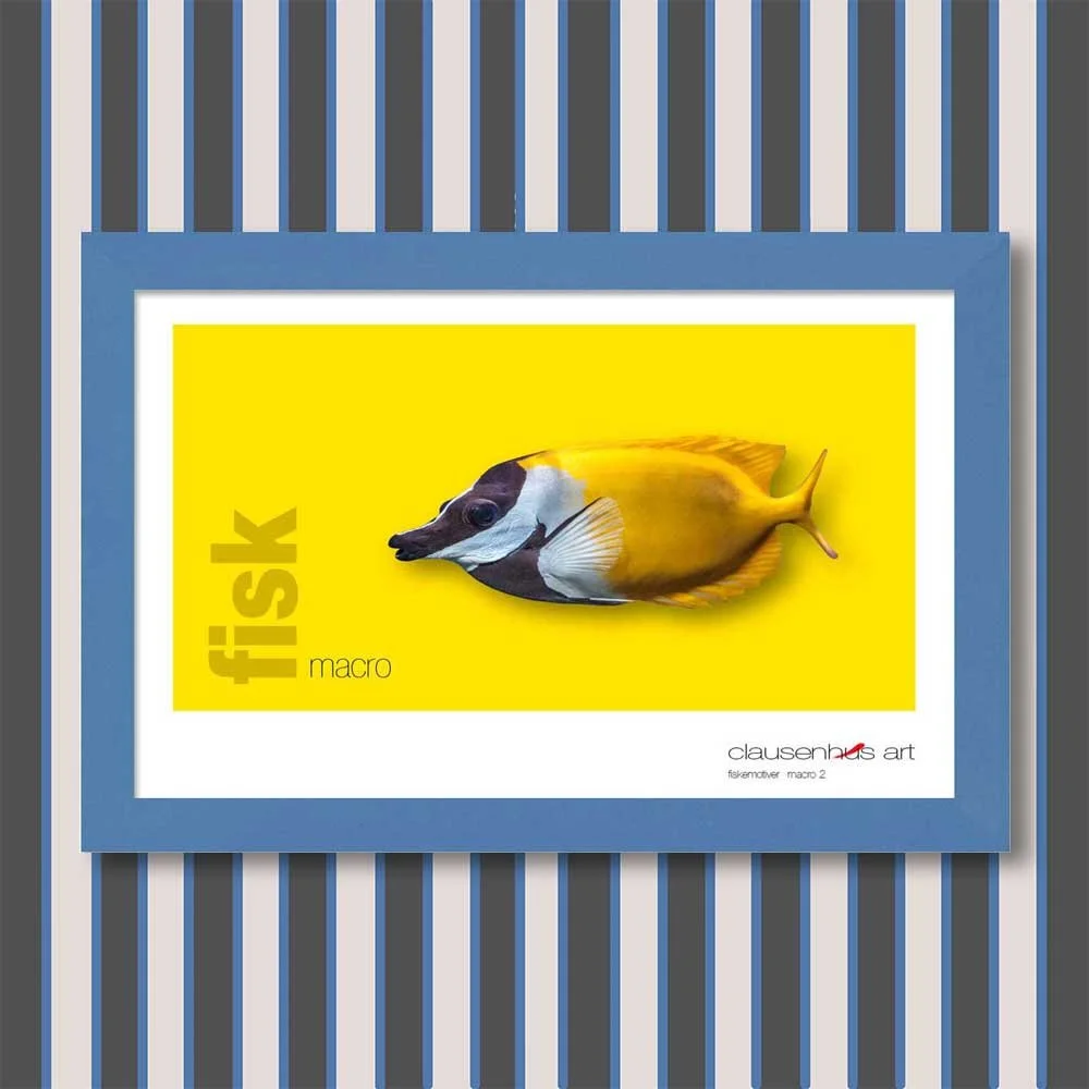 fiskemotiv-2-copy.jpg