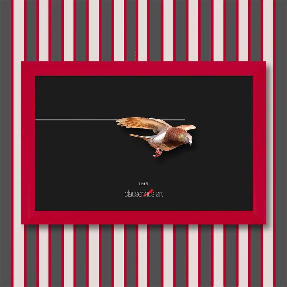bird-5-copy.jpg