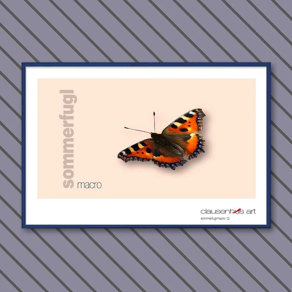sommerfugl-12-copy.jpg