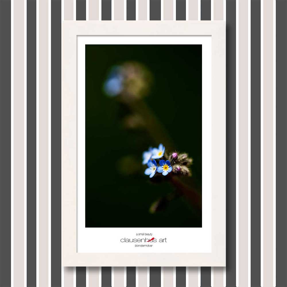 a-small-beauty-copy.jpg