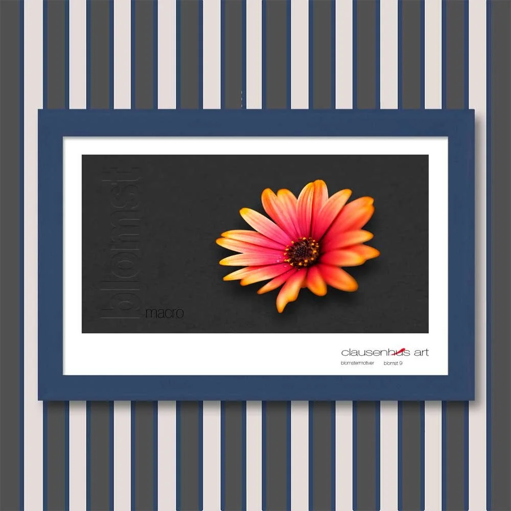 blomst-9.jpg