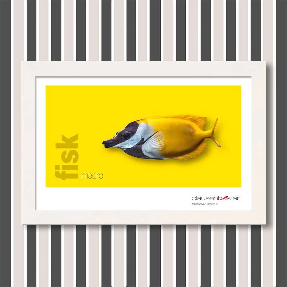 fiskemotiv-2-copy.jpg