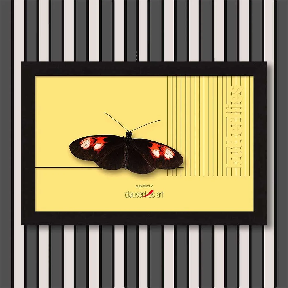 butterflies-2-copy.jpg
